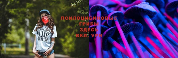 альфа пвп Корсаков
